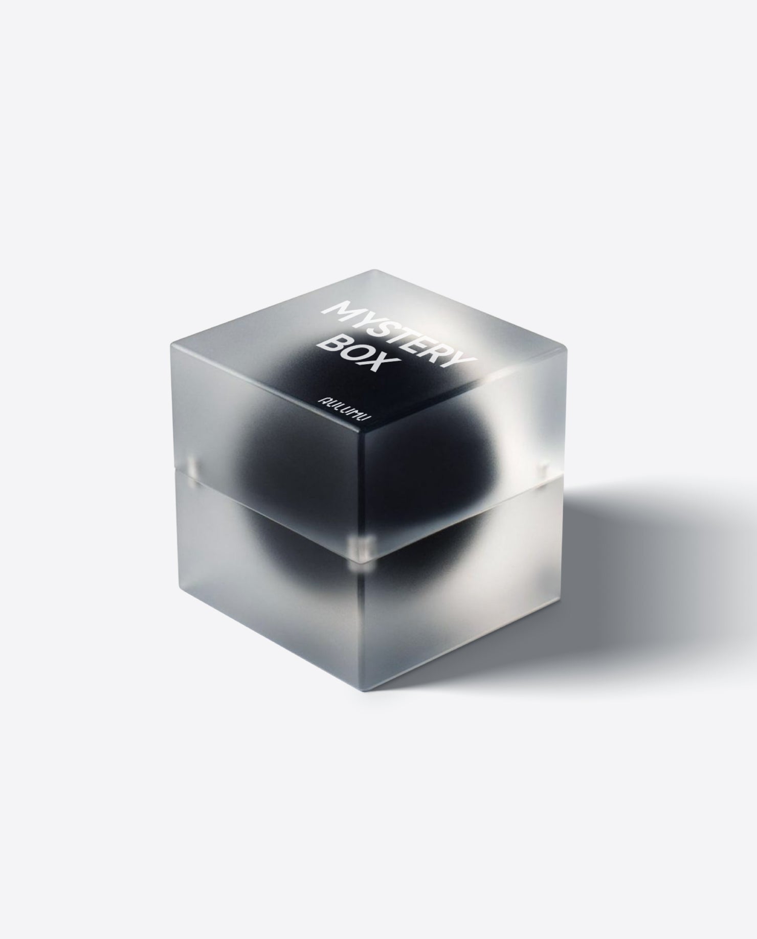 クリスマスミステリーボックス